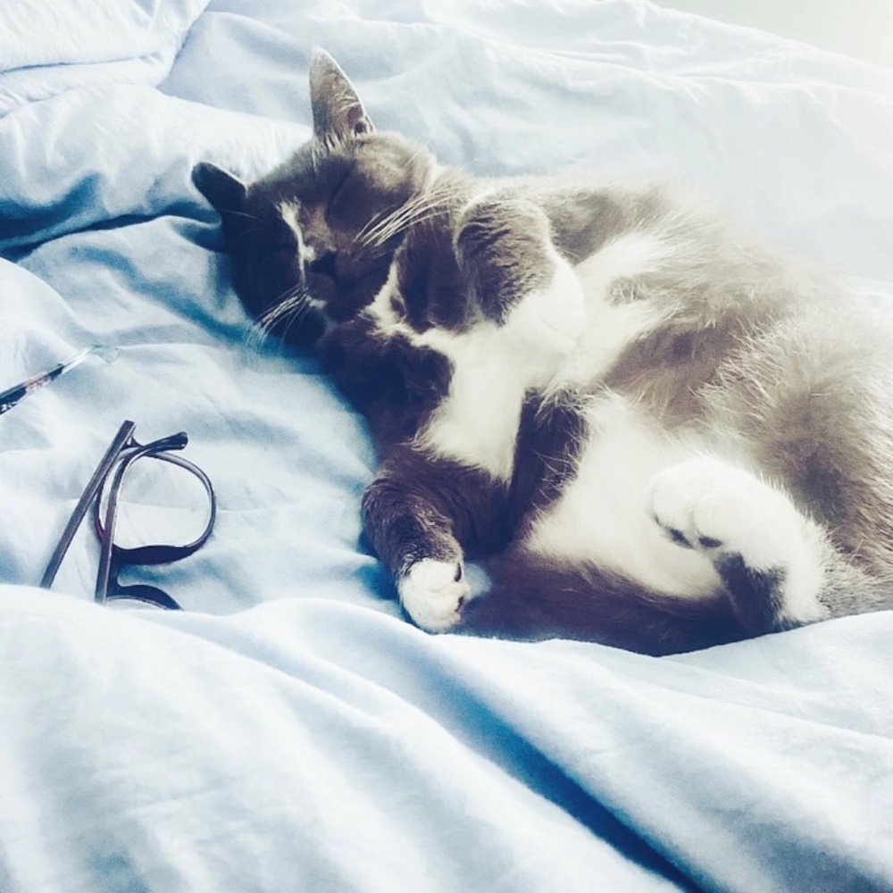 Meet your Posher, Frank